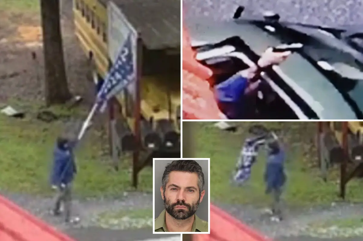 Small accountant destroys local Trump sign, fires at his home: police