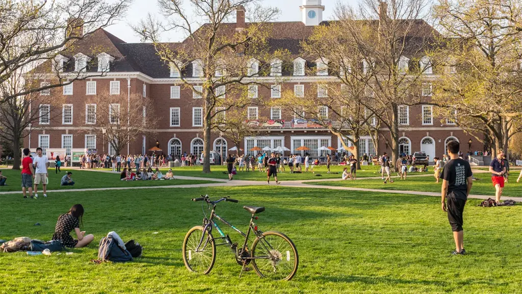 Socialism prevails over capitalism in universities