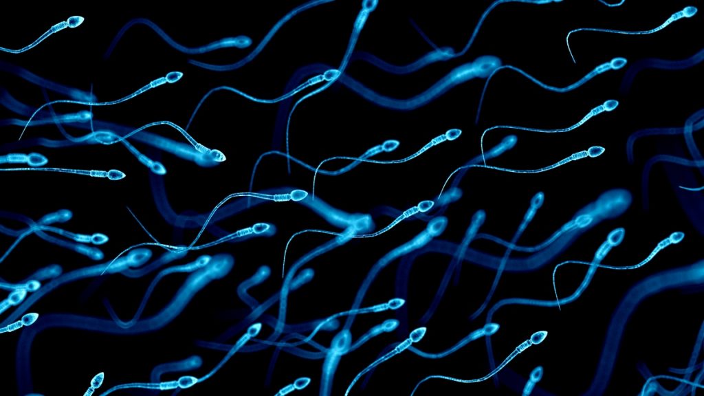 Sperm from Older Men Contains More Mutations, Which Could Be Dangerous