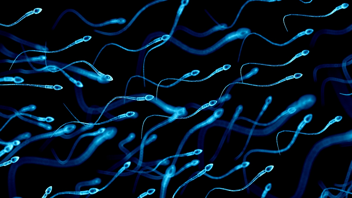 Sperm from Older Men Contains More Mutations, Which Could Be Dangerous
