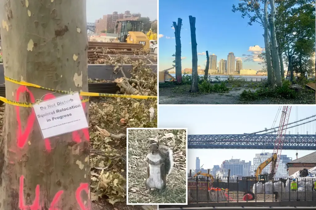 Squirrels in NYC rescued from dangerous construction site after residents point out the lack of a city rescue plan