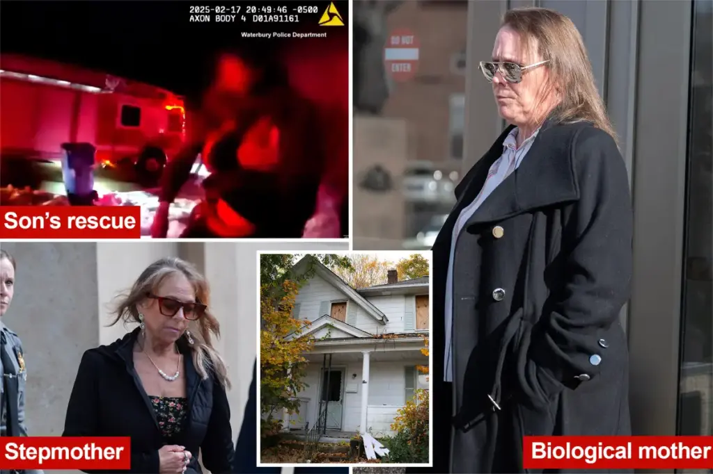 Stepmother Kimberly Sullivan seeks to disclose her stepson's identity, which his biological mother criticizes as 'appalling'