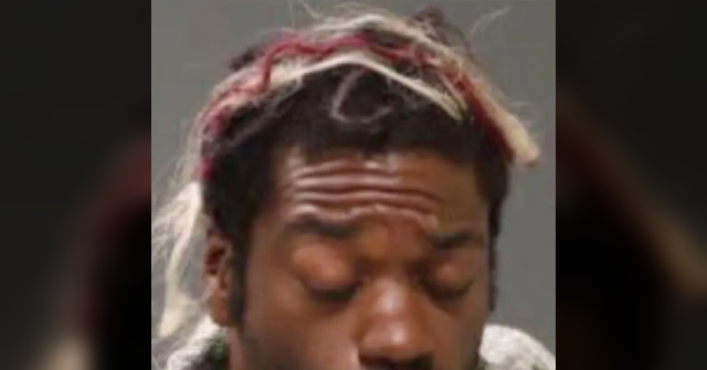 Subway Attacker Reoffends After Judge Lets Him Go