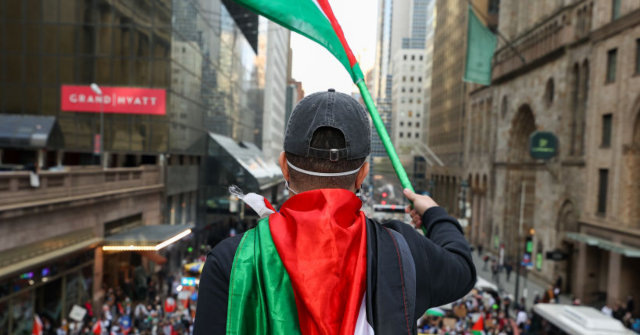 Supporters of Democrats and groups opposed to Israel financing 'No Kings' demonstrations