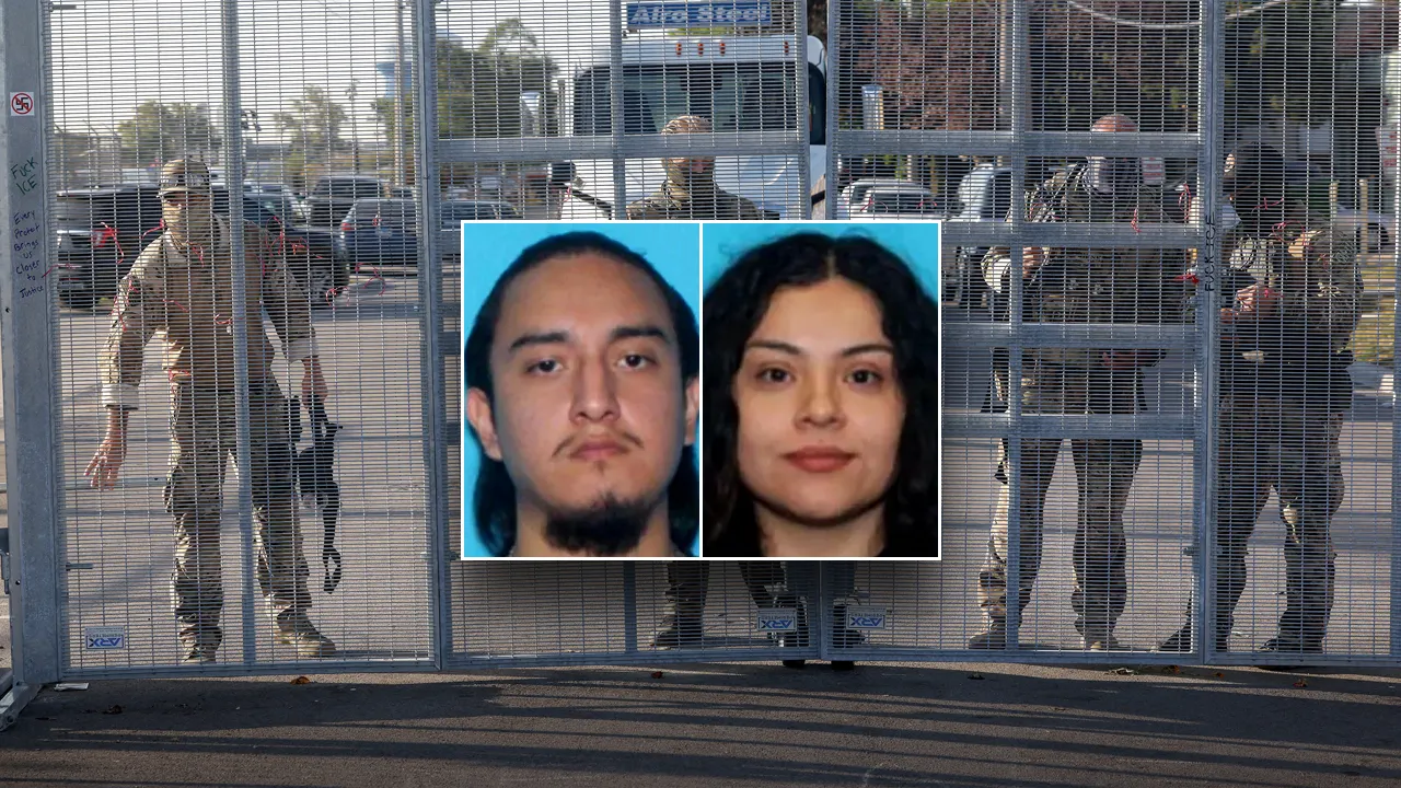 Suspects in Chicago charged with federal domestic terrorism for assaulting DHS