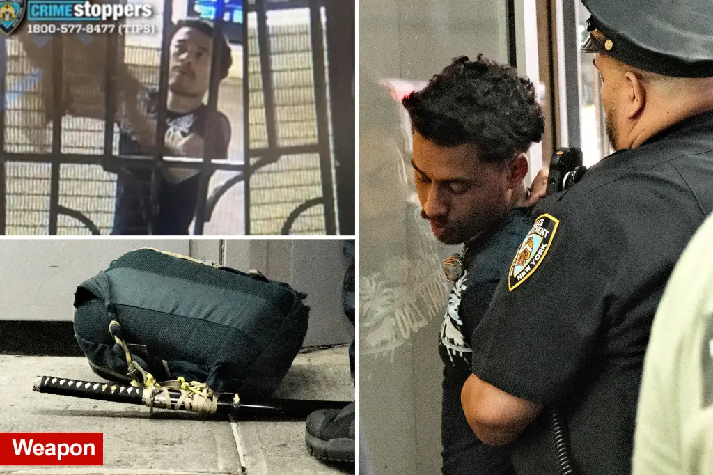 Sword-wielding man shares disturbing motive for Brooklyn subway murder.