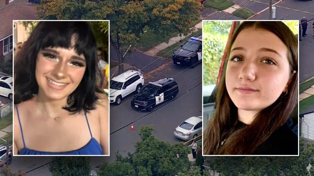 Teen accused of murder reportedly sent a false report to the victim's home prior to the attack, according to lawyer