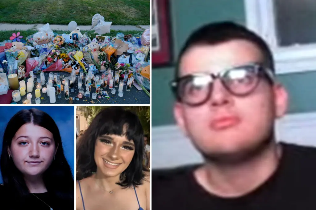 Teen suspect's unsettling comments on hit-and-run deaths of NJ girls in troubling livestream: 'There's more to the story'