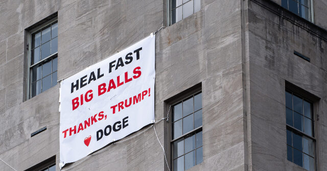 Teenagers Who Attacked 'Big Balls' DOGE Staff Member Not Sent to Jail, Receive Probation