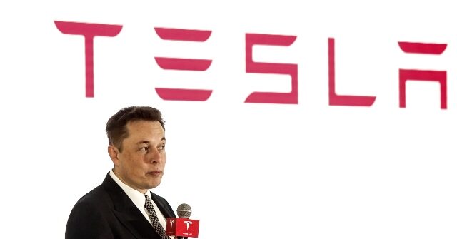 Tesla's Earnings Call with Elon Musk Highlights Robots Solving 'Poverty' Rather than Selling Electric Vehicles