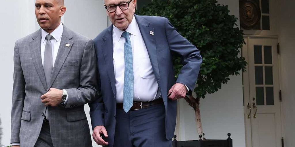 The dog that chased after the car