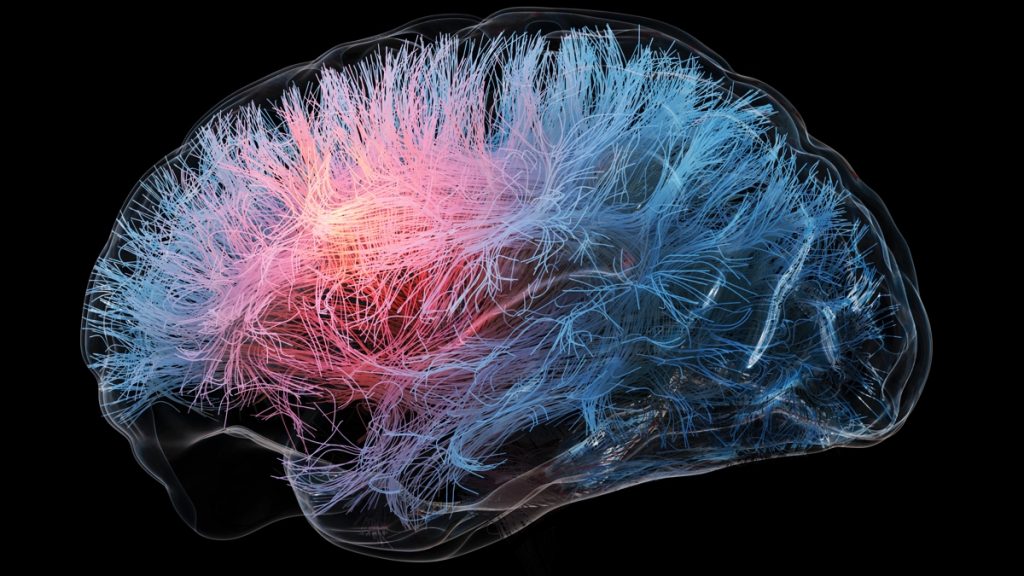 These Two Current Medications Might Enhance Brain Health, Researchers Suggest