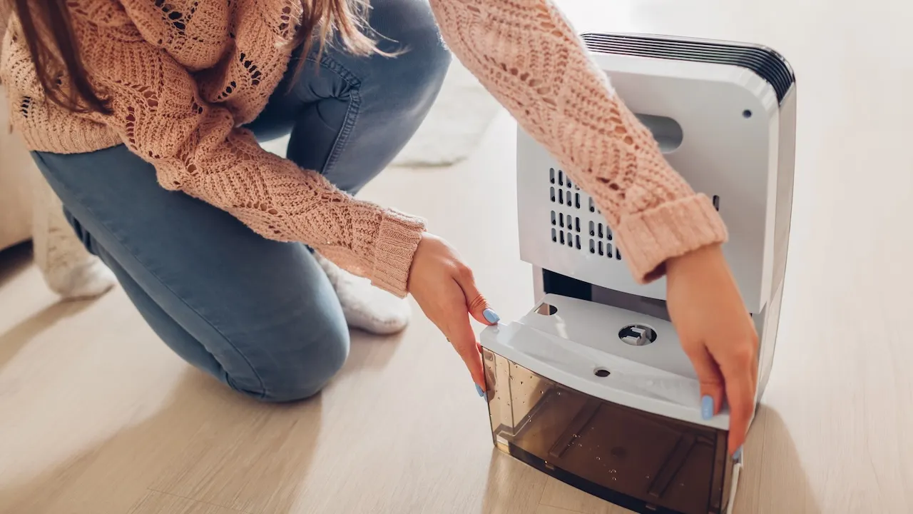 These top dehumidifier offers combat moisture, mold, and mildew
