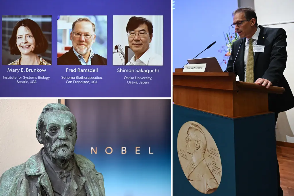 Three scientists — two from the U.S. and one from Japan — receive the Nobel Prize in medicine for their research on the human immune system.