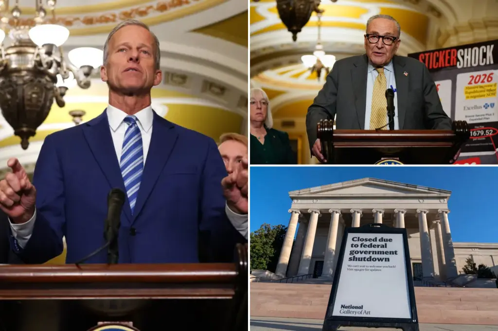 Thune provides Democrats a chance to vote on Obamacare requests in return for government reopening.