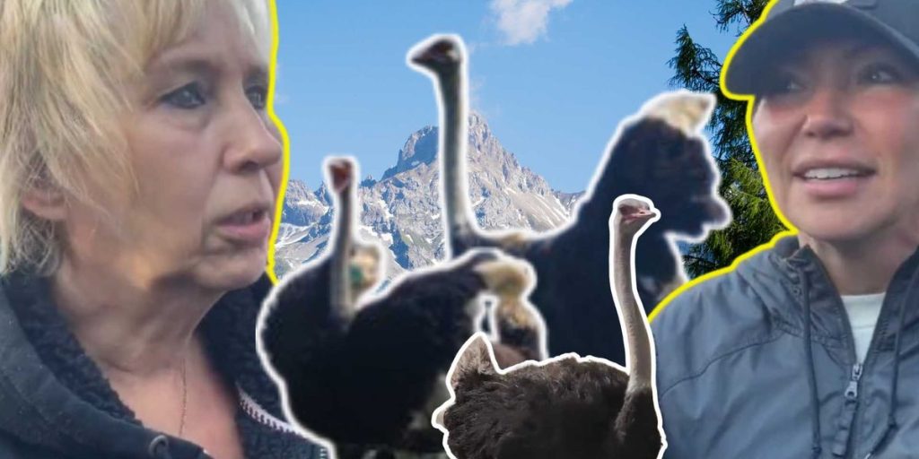 "Traditional show of retribution": Canada aims to destroy family ostrich farm