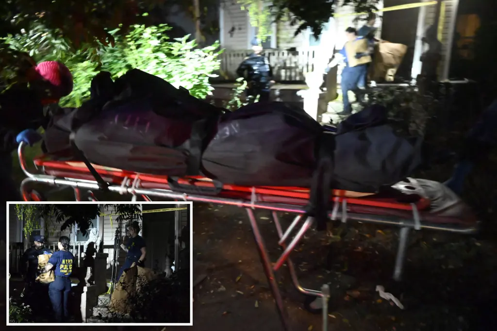 Troubled Staten Island teenager who killed his mother's boyfriend told his sister, 'I did something wrong,' when she got home to see him covered in blood.