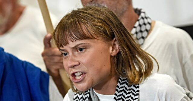 Trump Tells 'Troublemaker' Greta Thunberg to 'Visit a Doctor' After Israeli Deportation