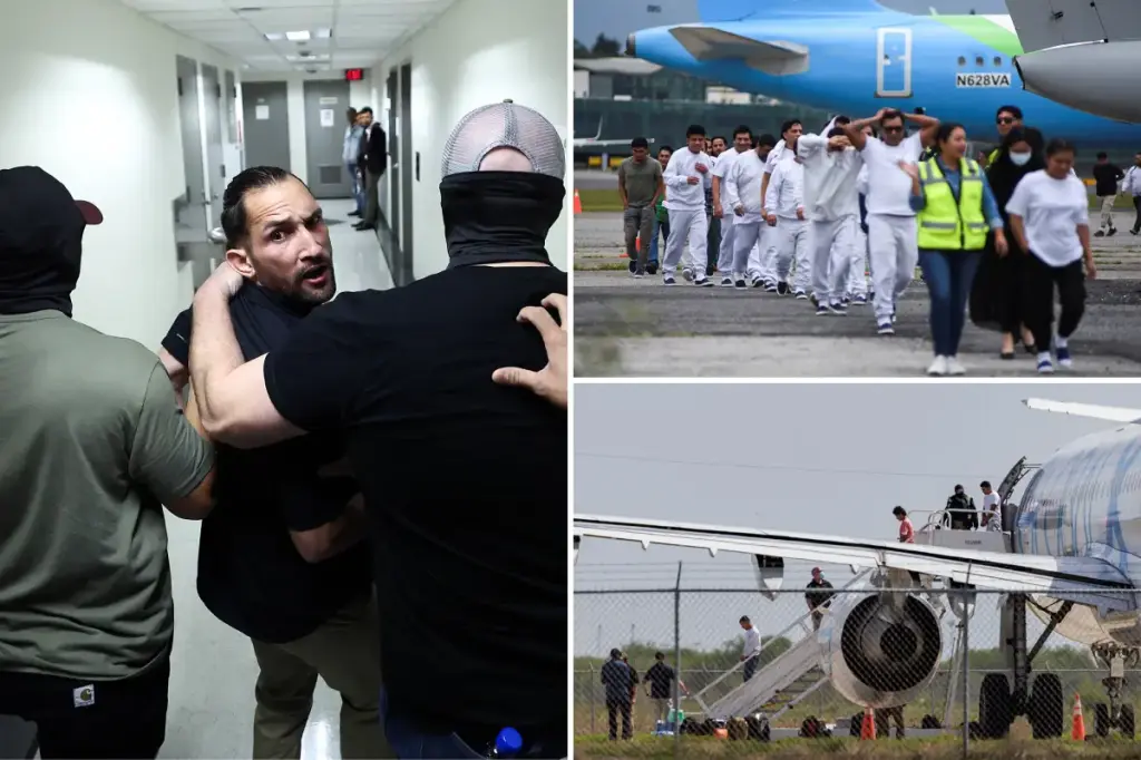 Trump administration set to break deportation record by the end of its first year: 'Only the start'