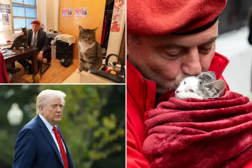 Trump reacts awkwardly to Curtis Sliwa's love for cats in a lively analysis of the NYC mayoral election: 'Not exactly ideal'