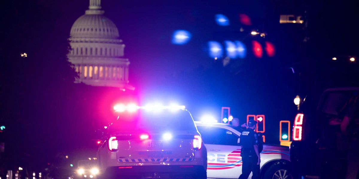 Two teenagers who attacked a former DOGE engineer in DC escape jail and only receive probation