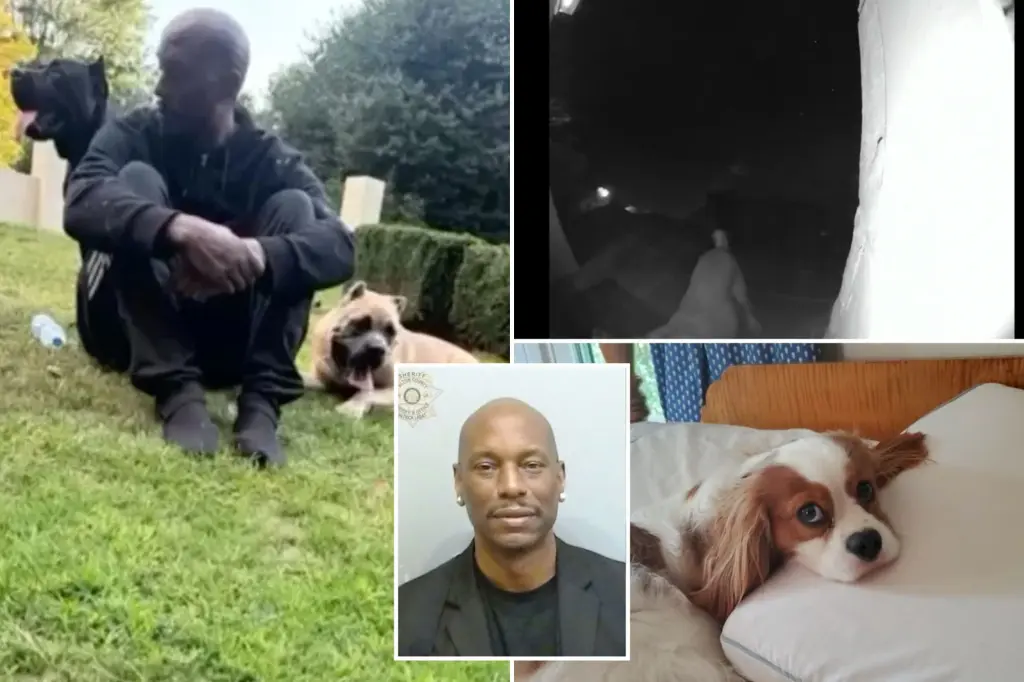 Tyrese Gibson from 'Fast and Furious' was taken into custody after his dogs attacked a neighbor's pet outside his home in Georgia.