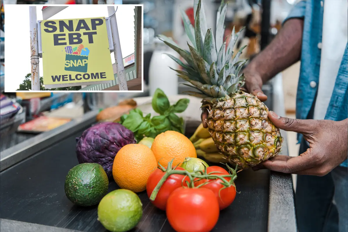 USDA states that no federal SNAP benefits will be provided during the government shutdown, attributing the issue to Democrats.
