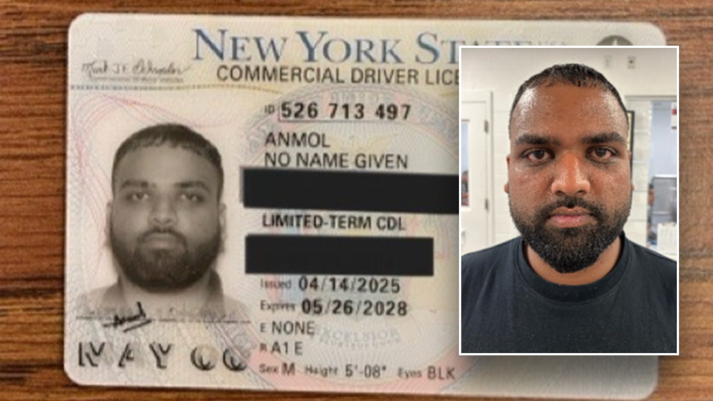 Unauthorized immigrant with nameless blue state license detained in highway operation