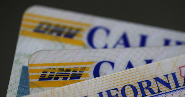 Undocumented Immigrants Obtained 18-Wheeler Licenses with 'Anonymous' Status