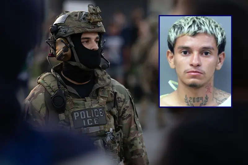 Undocumented immigrant charged with brutally assaulting 54-year-old woman in Chicago is now in ICE custody