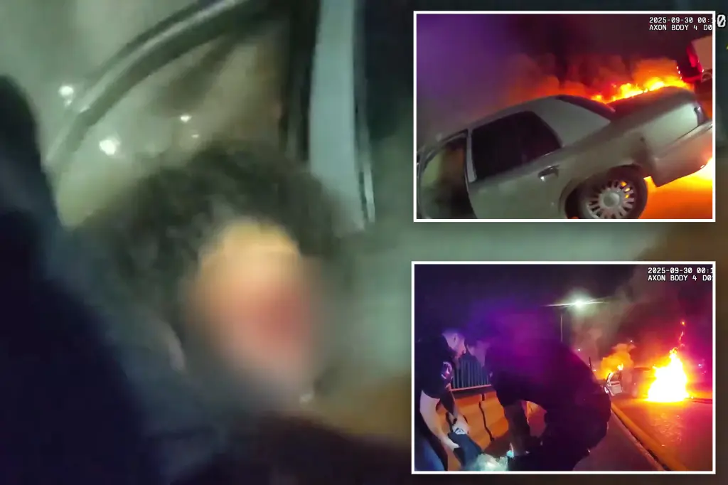 Video dramatically captures officer rescuing driver from her burning vehicle.