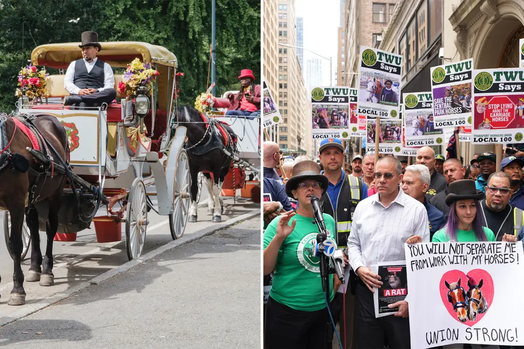 Visitors to Central Park favor horse carriage rides and are against the NYC ban: survey