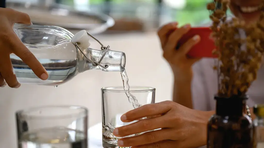 Water experts offer $95 iceberg water at high-end restaurants