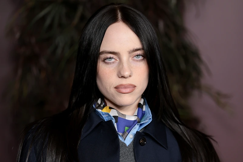 Wealthy pop star Billie Eilish calls for billionaires to contribute their riches.