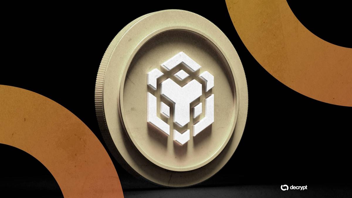 What Makes BNB So Strong During the Crypto Market Decline?