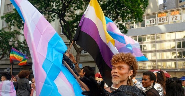 Wikipedia Page Says ‘Adult Human Female’ is Considered ‘Hate Speech’