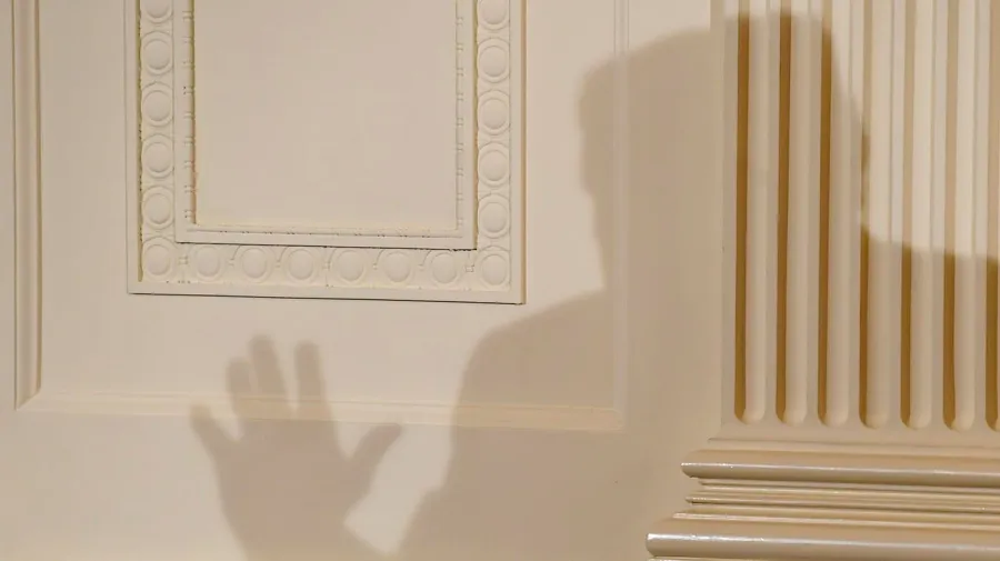 'No Trump, no vote' — where will MAGA purists go in 2028? 