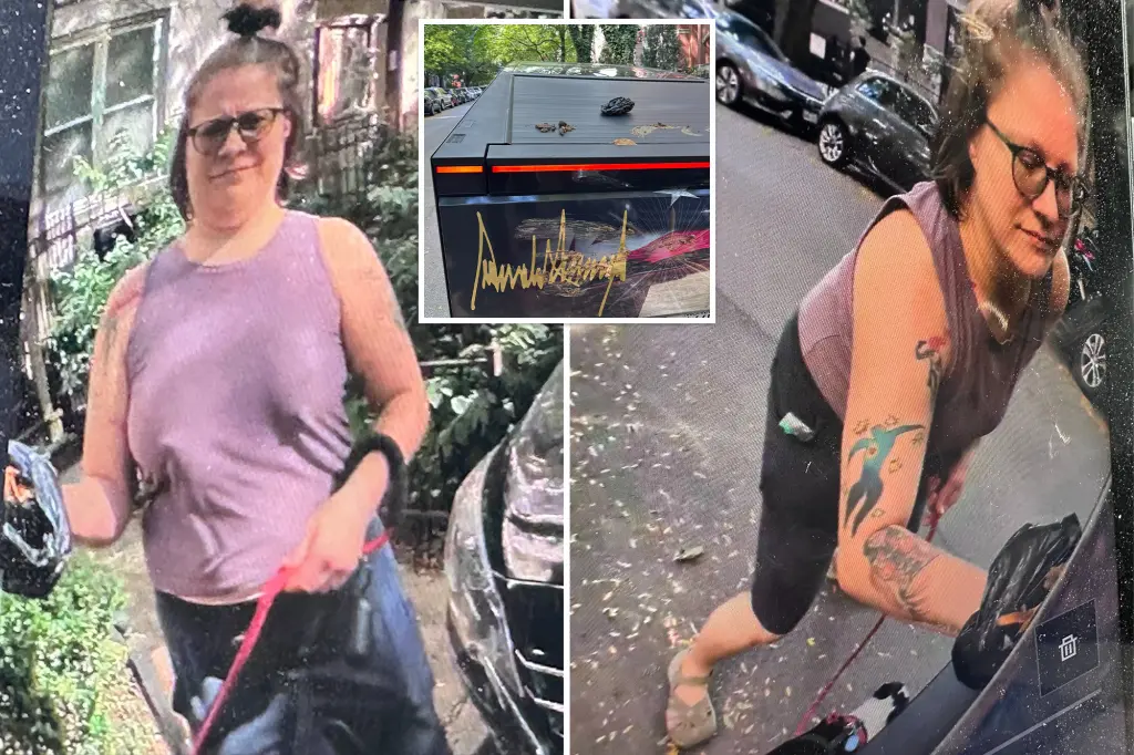 Woman filmed spreading dog feces on Trump-themed Cybertruck in Chicago