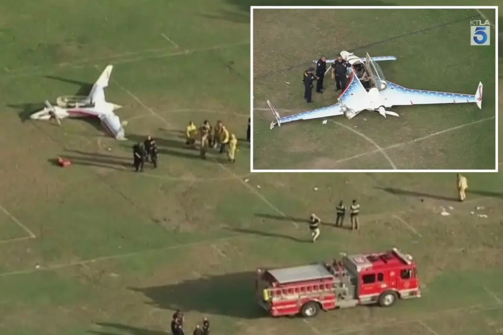 Woman hit by small aircraft that landed in crowded California park