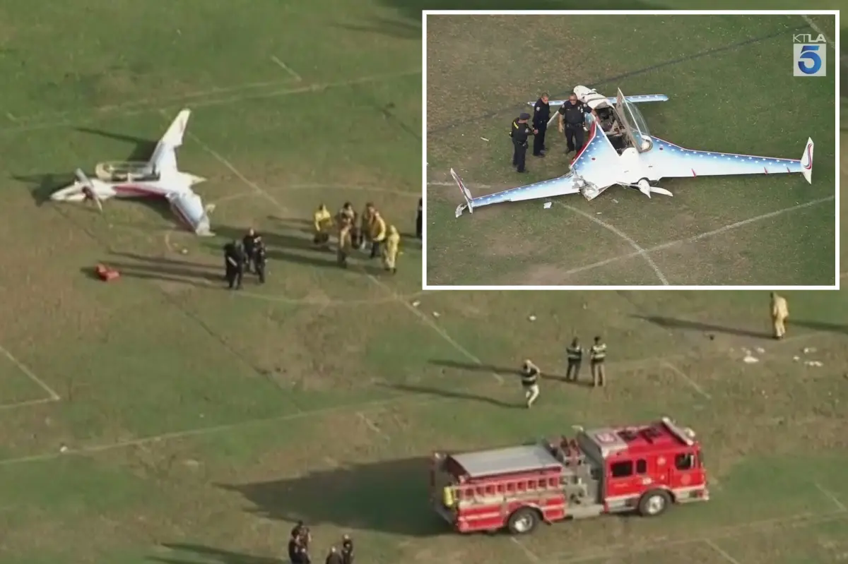 Woman hit by small aircraft that landed in crowded California park