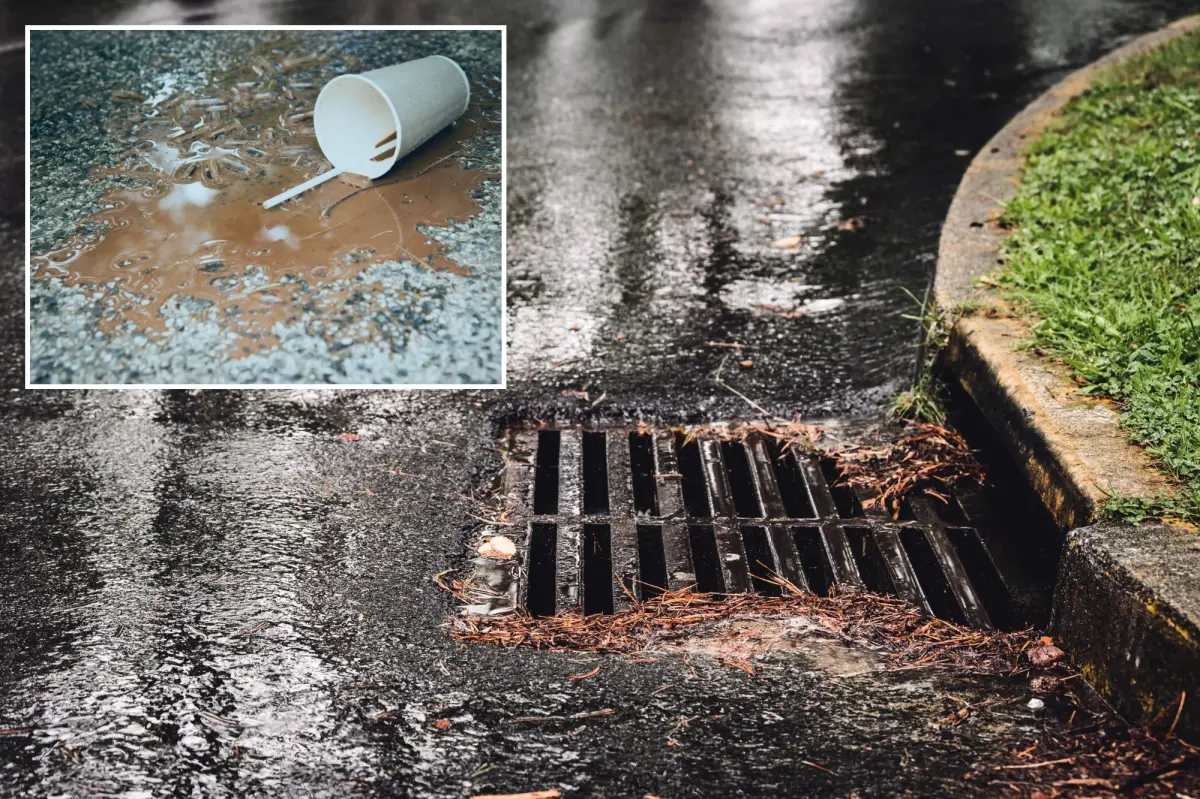 Woman in London fined 150 pounds for pouring coffee into storm drain before getting on bus