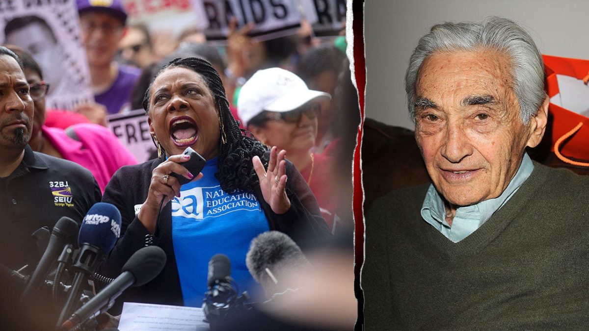 Zinn Education Project providing social justice lessons to young learners