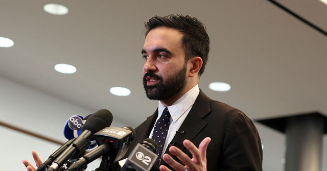 Zohran Mamdani Proposes That 'Mental Health Professionals' Should Address Crimes Instead of Police