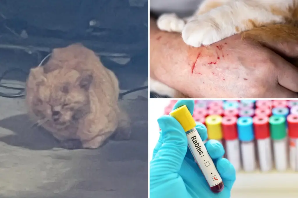 the quantity of blood truly alarming