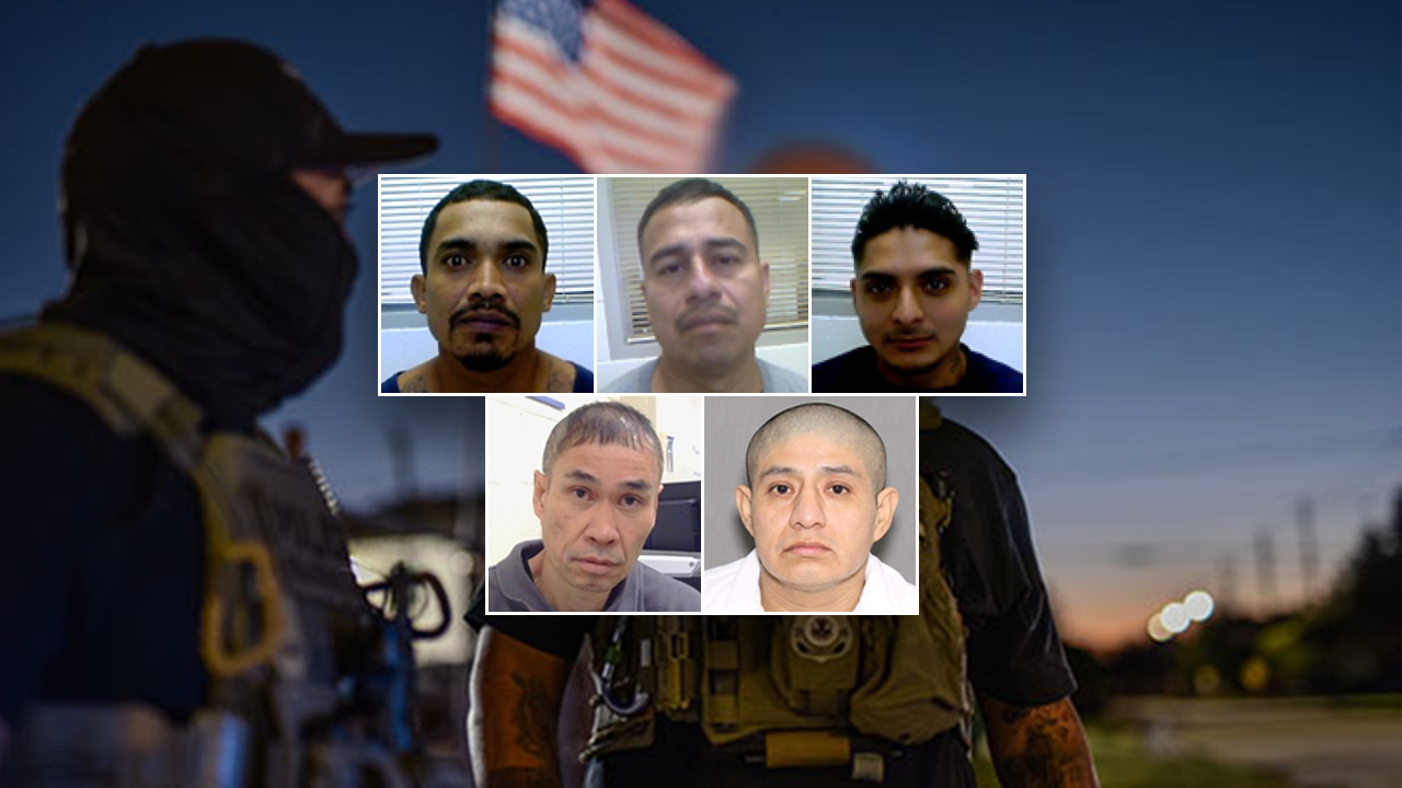 &lsquo;Nightmares and PTSD&rsquo; avoided: ICE highlights outcomes of Texas enforcement