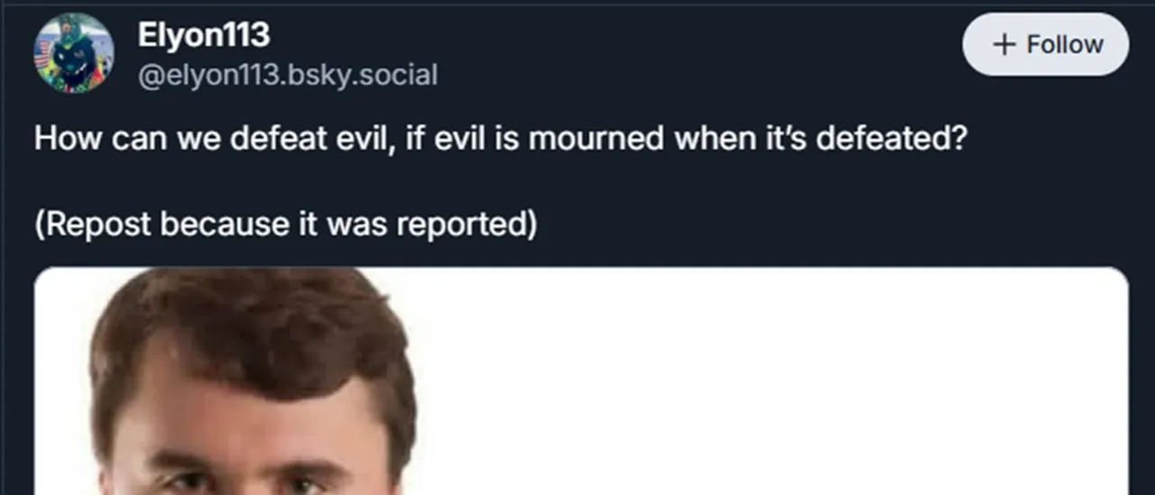 A Gay Furry Socialist Who Admires 9/11 Could Be the Most Outrageous Democratic Candidate So Far