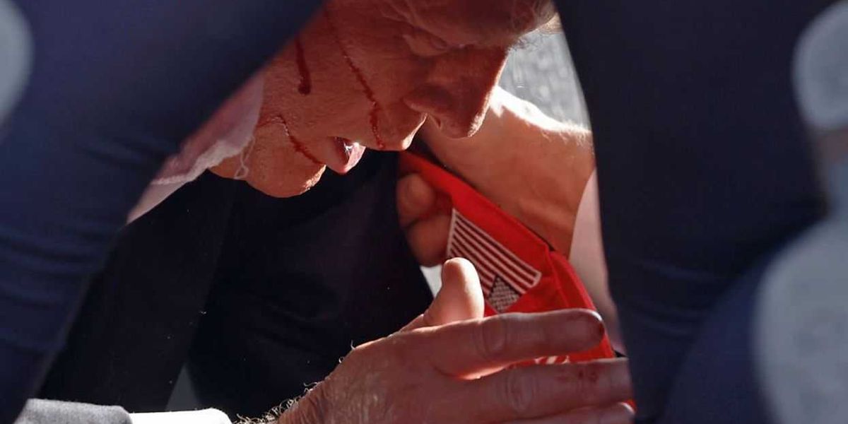 A troubling online presence indicates that the man who shot Trump was another radical from the 'they/them' group.