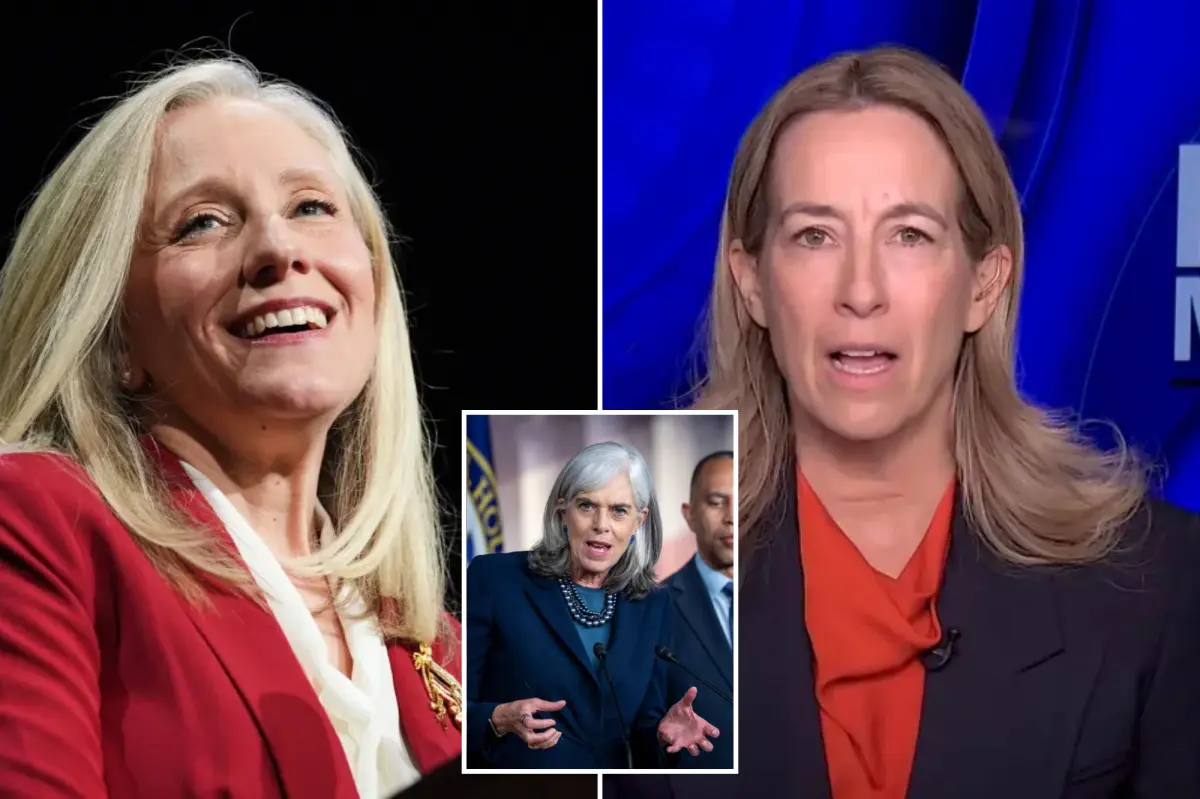 Abigail Spanberger advises Democrats against extending the shutdown
