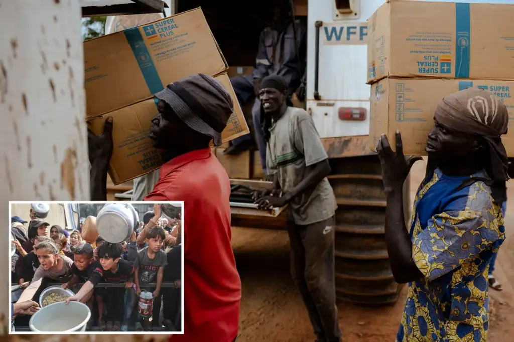 Agencies seek financial support to help millions at risk of famine due to reductions in global aid.