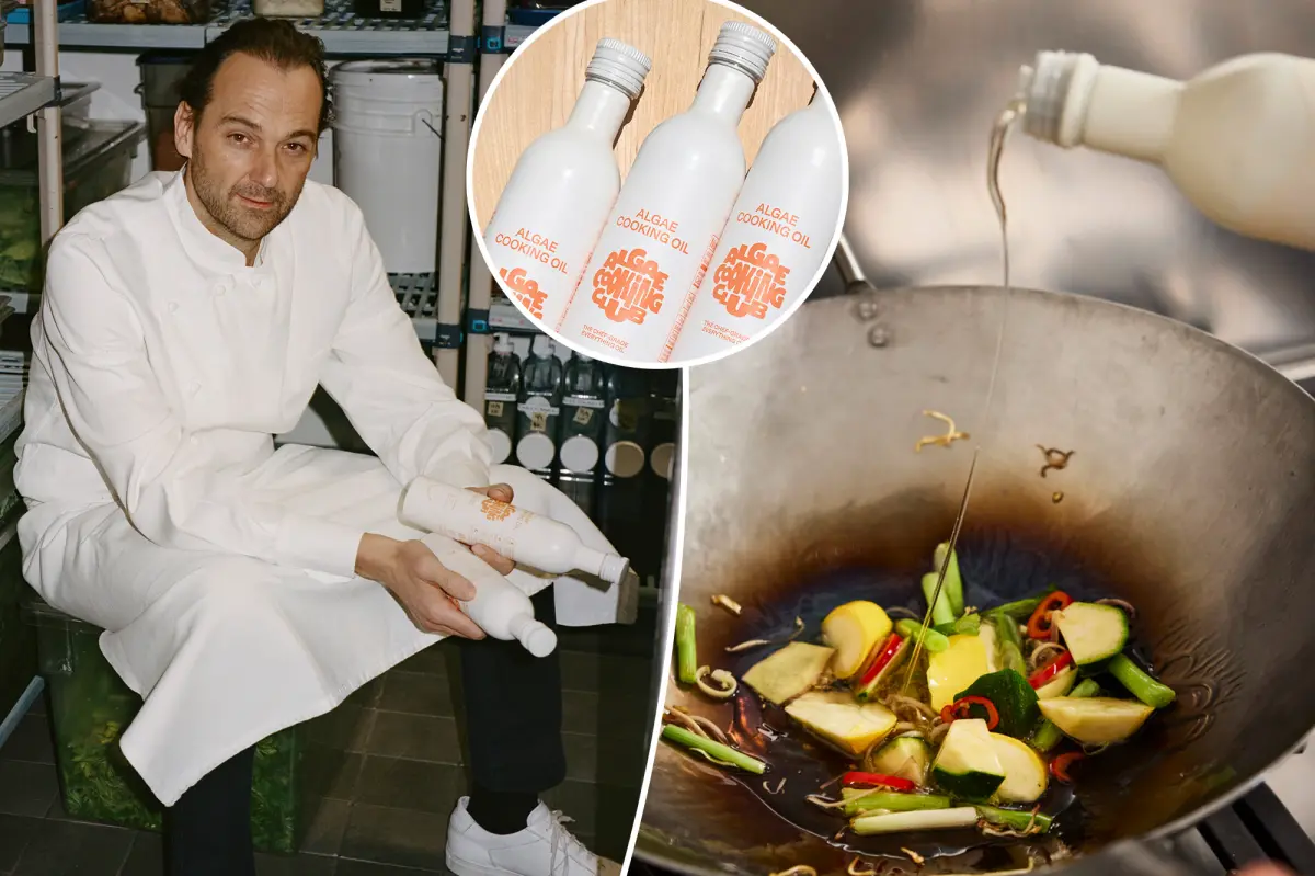 Algae oil contains less saturated fat than olive oil — is it time to switch?